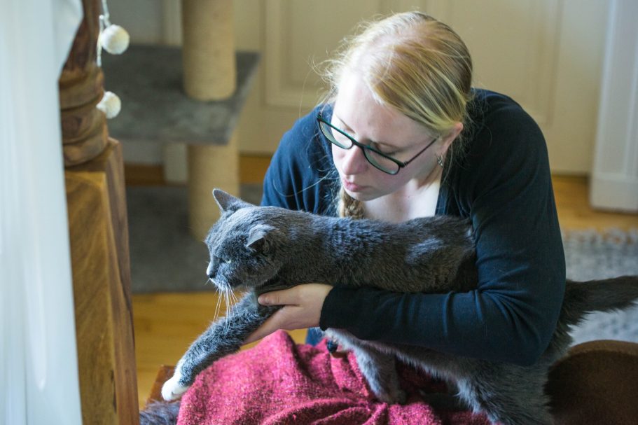 Manuelle Therapie Katze Mobile Tierphysiotherapie Jillian Bone Therapieangebote Mobile Tierphysiotherapie Jillian Bone in Ostfriesland