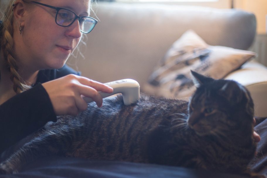 Therapieangebote Mobile Tierphysiotherapie Jillian Bone Therapieangebote Mobile Tierphysiotherapie Jillian Bone in Ostfriesland