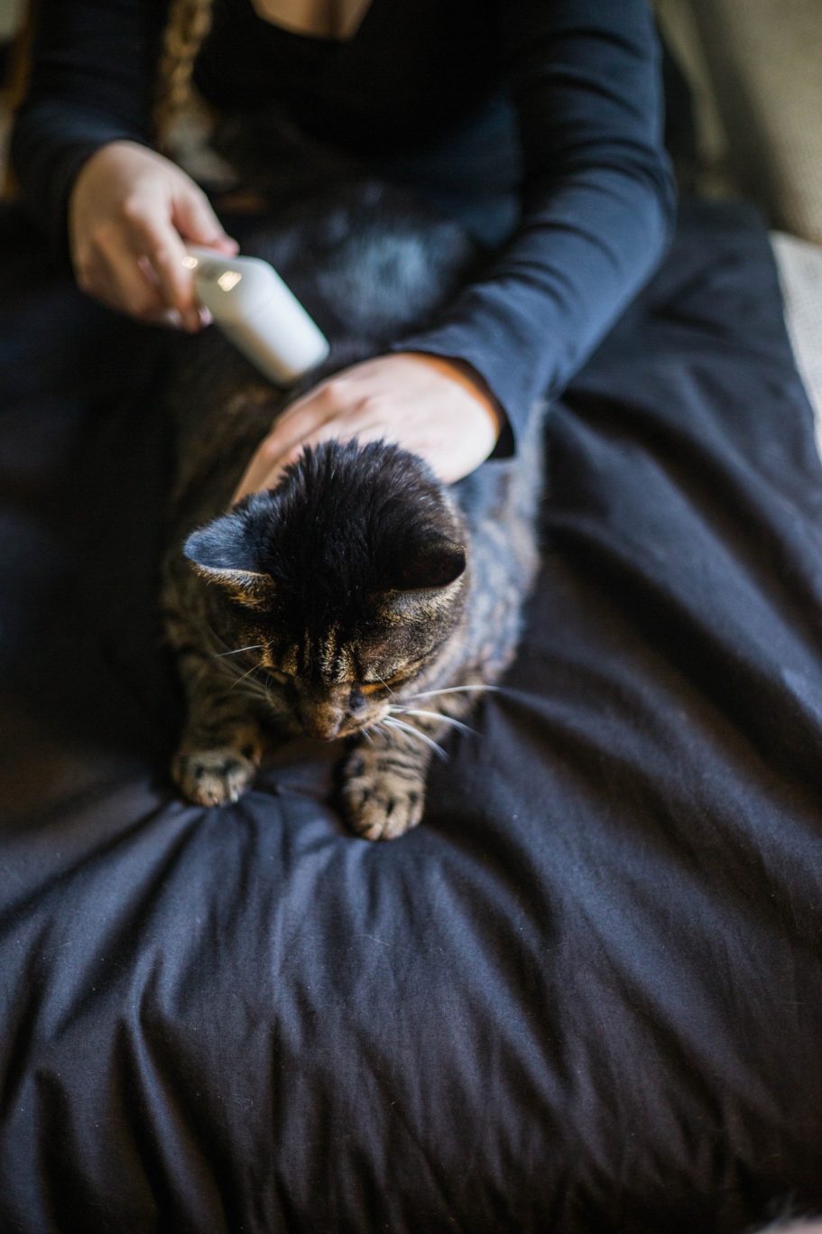 Therapieangebote Mobile Tierphysiotherapie Jillian Bone Therapieangebote Mobile Tierphysiotherapie Jillian Bone in Ostfriesland