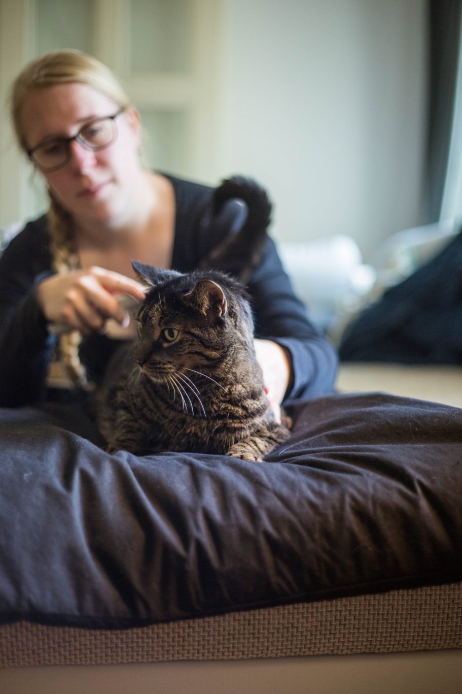 Therapieangebote Mobile Tierphysiotherapie Jillian Bone in Ostfriesland Therapieangebote Mobile Tierphysiotherapie Jillian Bone in Ostfriesland